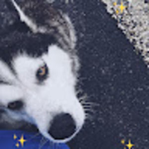 Meet your Posher, Chloe